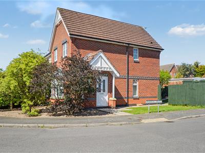 Picture 23